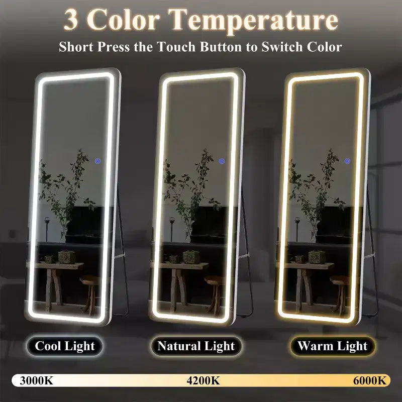 20 in. W x 63 in. H Modern Full Length Rectangular Frameless Mirror With Rounded Corner in Silver